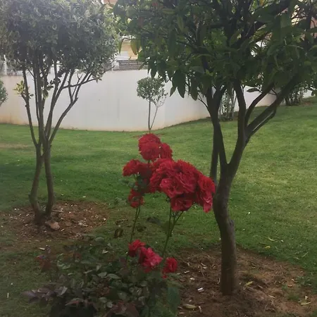 Condominio Encosta De Sao Jose Apartamento Albufeira